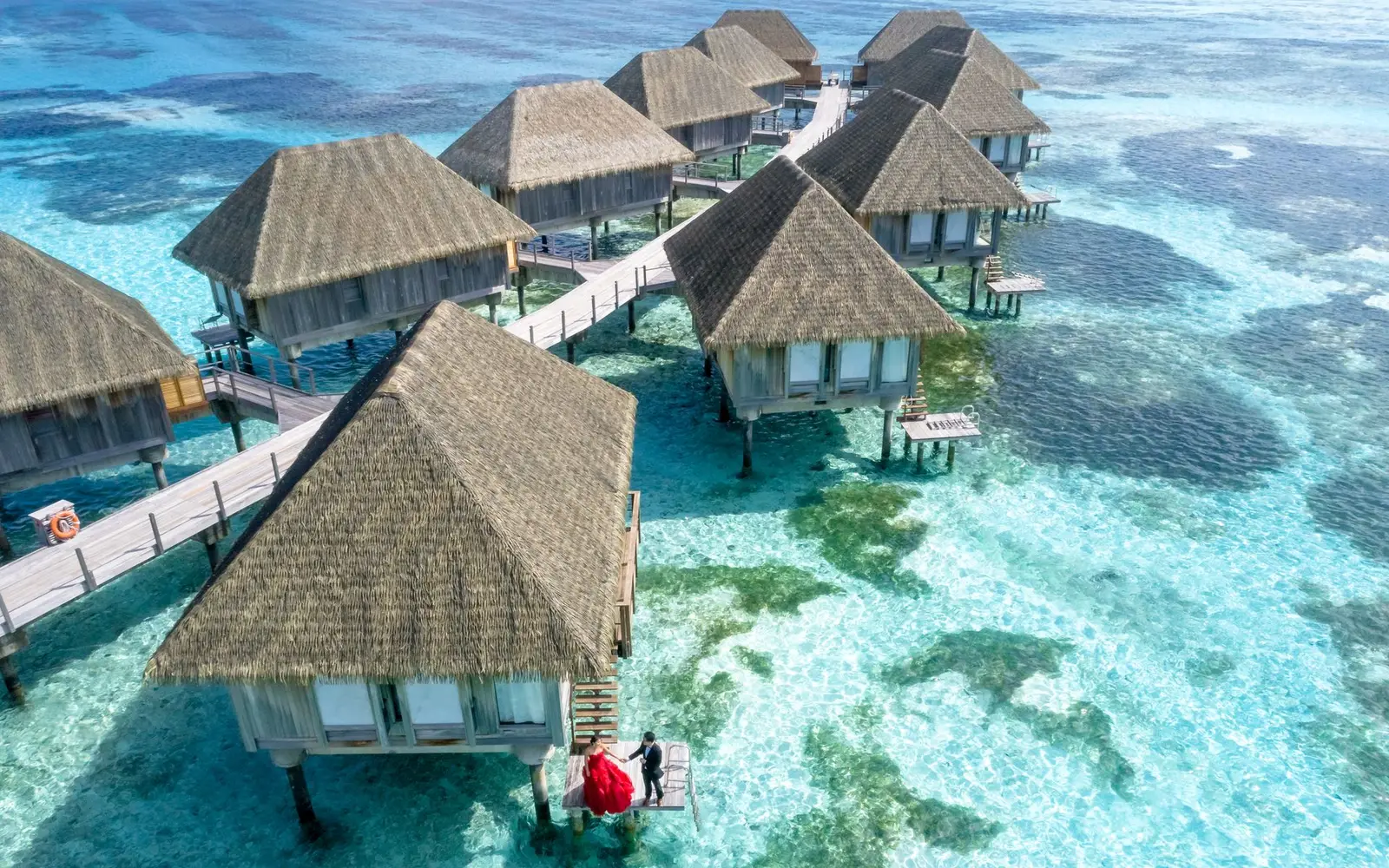 Resort tropical frente al mar — paquetes vacacionales AVA Tours